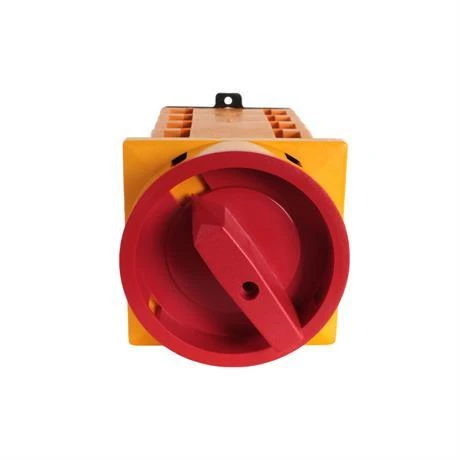 Opaş 4x40A 1-0-2 Kutup Değiştirici Kilitli Pako Şalter - YKL405040 - Resim 3