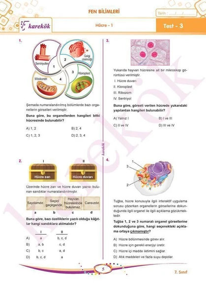 7. Sınıf Tüm Dersler Soru Bankası - Resim 4