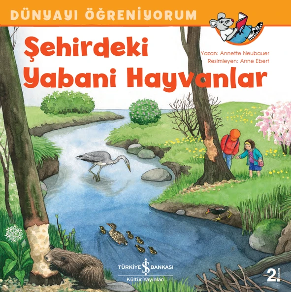 Şehirdeki Yabani Hayvanlar - Dünyayı Öğreniyorum ürün görseli