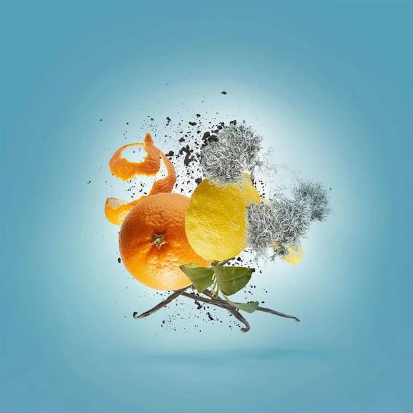 Xerjoff Erba Pura EDP 50 ml Unisex Parfüm - Resim 4