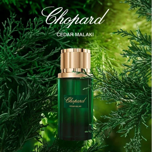 Chopard Cedar Malaki EDP 80 ml Unisex Parfüm - Resim 5