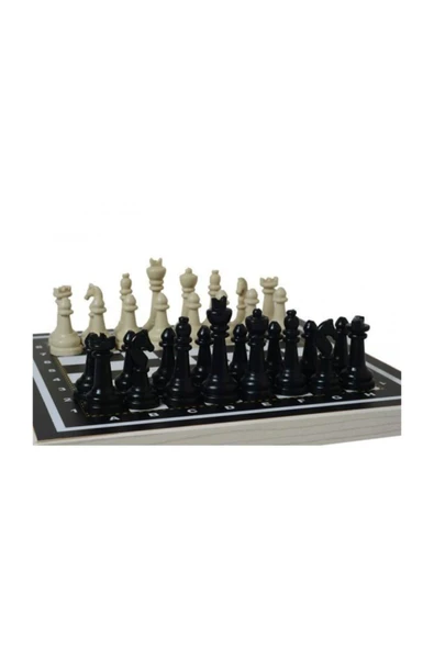 NewToys Satranç +4 Yaş - 2