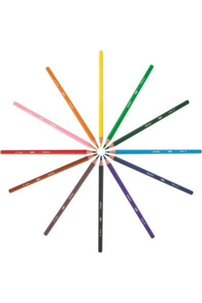 Bic Kids Evolution Metal Tüp 24+1 Renk Kuru Boya Kalemi - 3