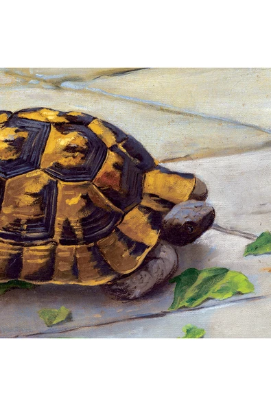 Ks Games Puzzle 1000 Puzzle Kaplumbağa Terbiyecisi - 3