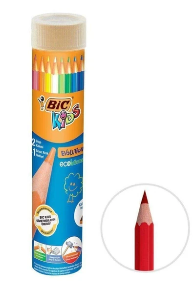 Bic Kids Evolution Metal Tüpte Kuru Boya Kalemi 12+1