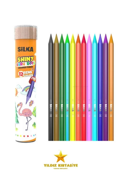 Silka Shiny Wood Free 12 Renk Metal Kutu Kuru Boya Kalemi