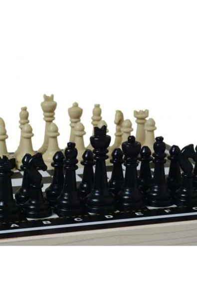 NewToys Satranç - 2