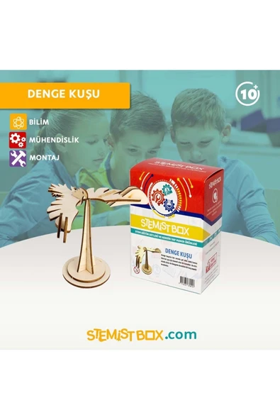 Stemist Box Denge Kuşu - Resim 3
