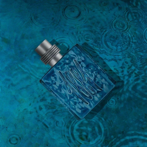 Cerruti 1881 Silver Night EDP 100 ml Erkek Parfümü - Resim 5