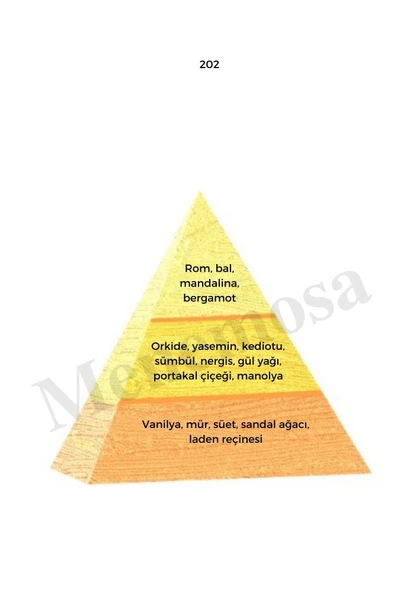 202 + 202 Kadın Parfüm Edp  Oriental - Mnms2022 - Resim 2