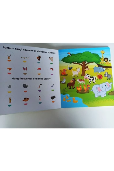 yeti kitap 2-4 Yaş Bul-bil Etkinlik Kitap Seti (3 Kitap) - Resim 6