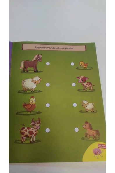 yeti kitap 3-4 Yaş Evde Etkinlik Setim - Resim 2