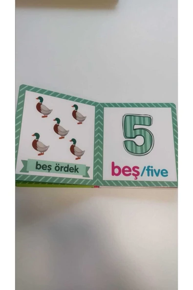 yeti kitap Bebek Zeka Geliştirici Kitap Seti - Resim 7