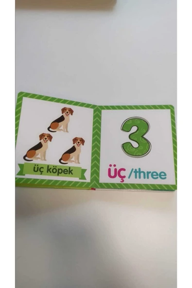 yeti kitap Bebek Zeka Geliştirici Kitap Seti - Resim 6