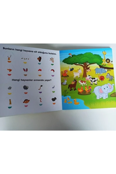 yeti kitap 100 Kanatçıkta Öğren Setim - Resim 5