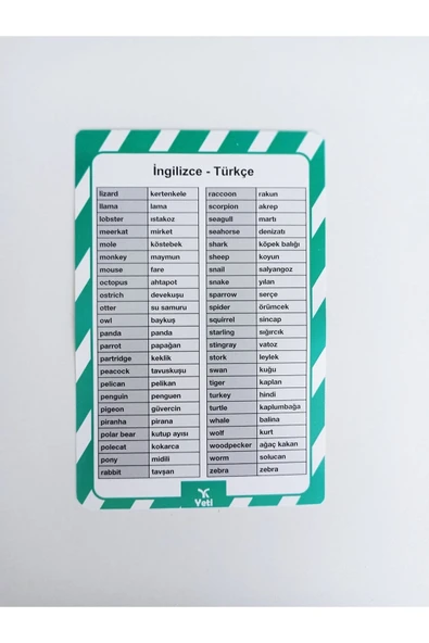 yeti kitap Ingilizce 4. Sınıf Setim - Resim 4