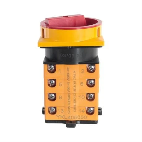 Opaş 4x50A 1-0-2 Kutup Değiştirici Kilitli Pako Şalter - YKL405050 ürün görseli 1