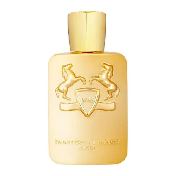 Parfums de Marly Godolphin EDP 125 ml Erkek Parfümü ürün görseli