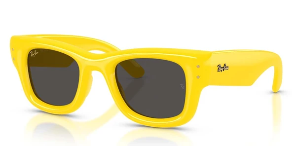 Ray-Ban RB4940 683087 47 A$AP ROCKY Unisex Güneş Gözlüğü ürün görseli 1