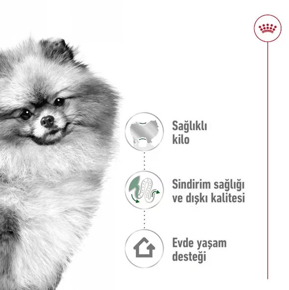 Royal Canin Mini İndoor Adult Yetişkin Köpek Maması - Resim 3