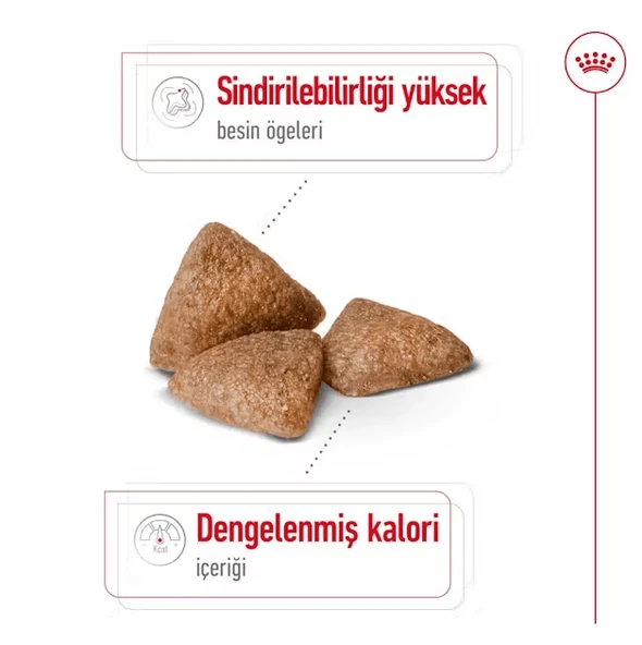 Royal Canin Mini İndoor Adult Yetişkin Köpek Maması - Resim 4