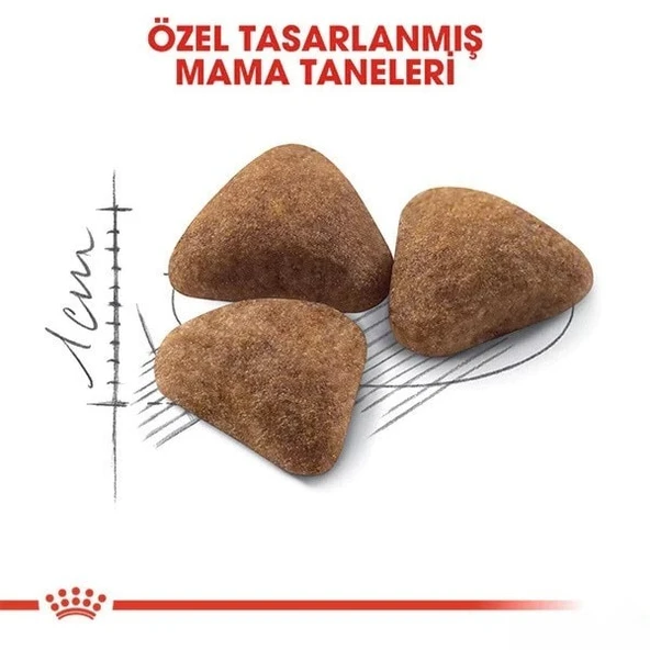 Royal Canin İndoor 27 Adult Yetişkin Kedi Maması - 5