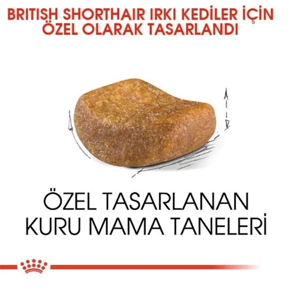 Royal Canin British Shorthair Adult Yetişkin Kedi Maması - 6