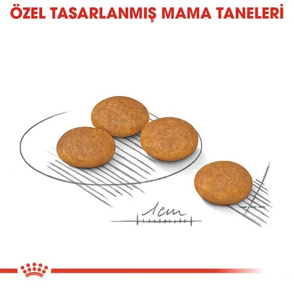 Royal Canin Mini Dermacomfort Yetişkin Köpek Maması - Resim 5