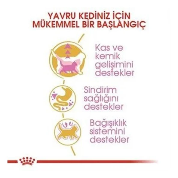 Royal Canin British Shorthair Kitten Yavru Kedi Maması - Resim 3