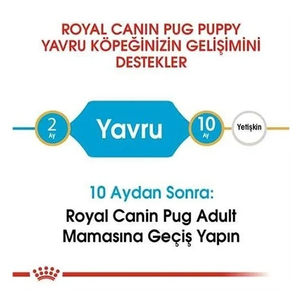 Royal Canin Pug Junior Yavru Köpek Maması - 6