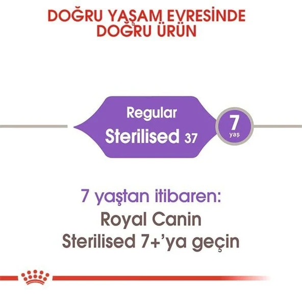 Royal Canin Sterilised Yetişkin Kısırlaştırılmış Kedi Maması - 10