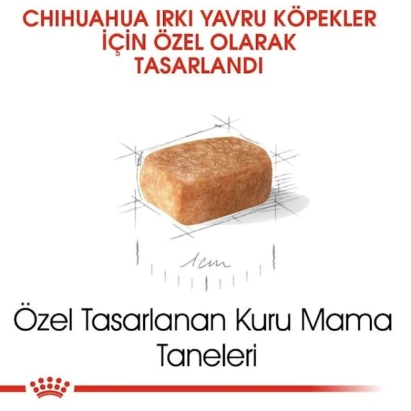 Royal Canin Chihuahua Junior Yavru Köpek Maması - 4