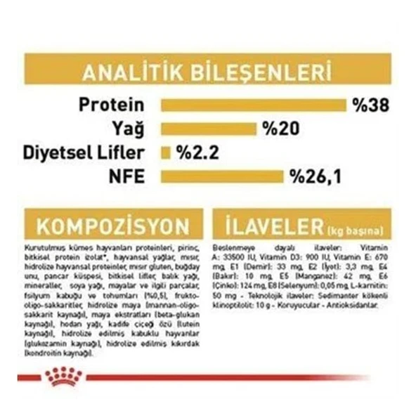 Royal Canin British Shorthair Kitten Yavru Kedi Maması - Resim 5