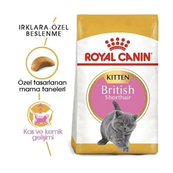Royal Canin British Shorthair Kitten Yavru Kedi Maması - Resim 2