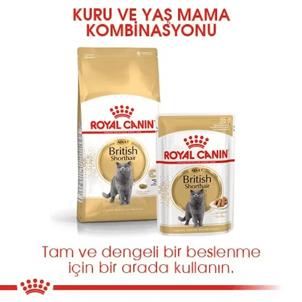 Royal Canin British Shorthair Adult Yetişkin Kedi Maması - 2
