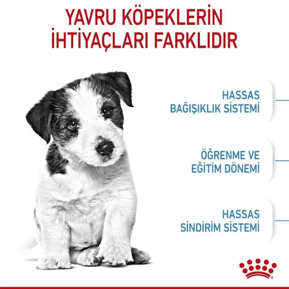 Royal Canin Mini Puppy Küçük Irk Yavru Köpek Maması - 5