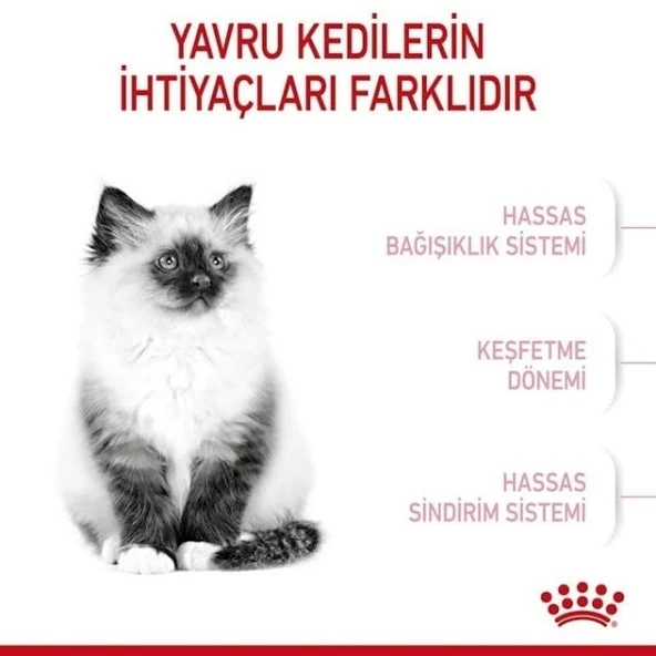 Royal Canin Kitten Yavru Kedi Maması - 12