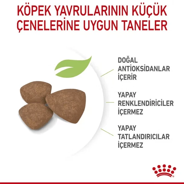 Royal Canin Mini Puppy Küçük Irk Yavru Köpek Maması - 4