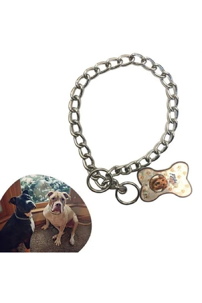 NACTUMU 65 cm Zincir Model Köpek Boyun Tasması, Dayanıklı ve Şık Tasarım ürün görseli