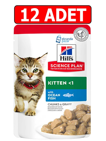 Hills kitten yavru kedi konserve 85gr 12adet ocean fish chunks gravy balıklı kedi yaş maması pouch ürün görseli
