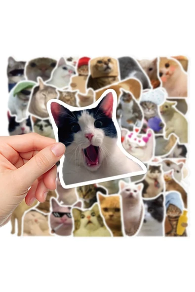 Çılgın Kediler Macbook Notebook Tablet Telefon Ajanda Laptop Defter Sticker Seti - 2
