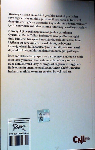 Çirkin Ördek Yavruları - Resim 2