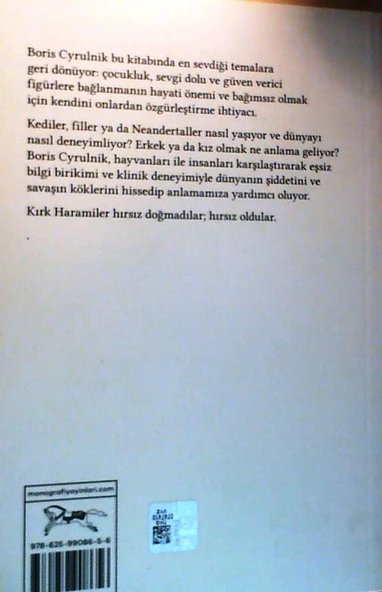 Duygu Yoksunu Kırk Harami - Resim 2