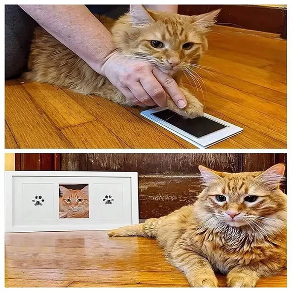 Kedi Köpek Pati İzi Fotoğraf Çerçevesi Seti - Resim 4