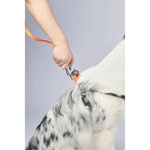 M-Pets Wild Jungle Köpek Gezdirme Kayışı Turuncu Large-Xlarge 2x120 Cm - Resim 3