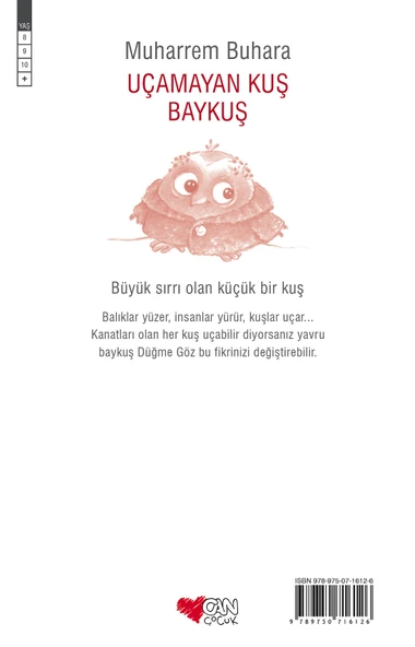 Uçamayan Kuş Baykuş - Resim 3