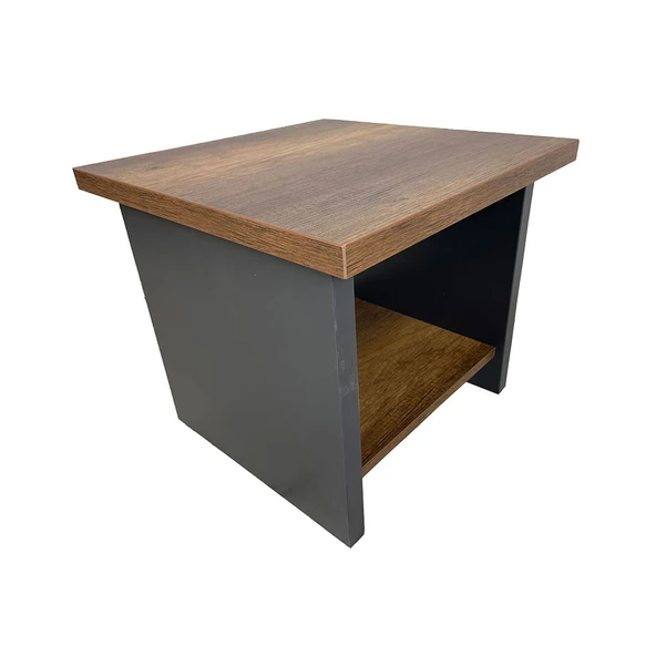 Goldsit Standart Sehpa 50 - Resim 2