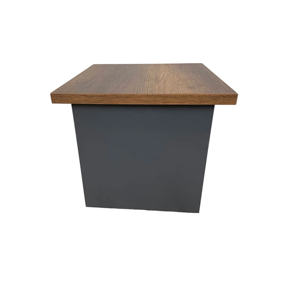 Goldsit Standart Sehpa 50 - Resim 4