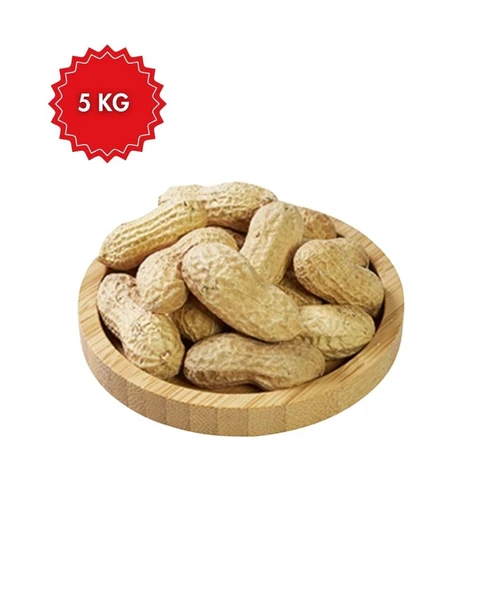 Taze Kabuklu Yer Fıstığı 5 Kg  Kavrulmamış, Doğal, Yerli Üretim ürün görseli 1