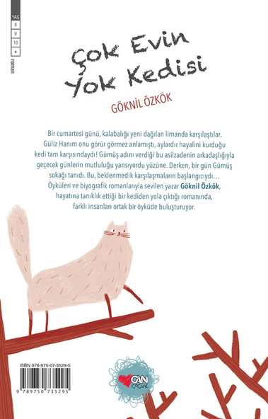 Çok Evin Yok Kedisi - Resim 3